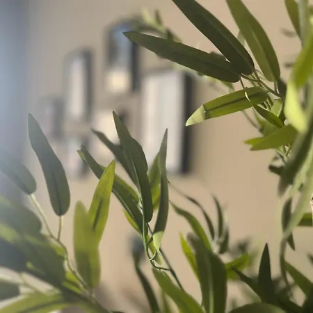 Tifi-maties Borumbot * Calpe